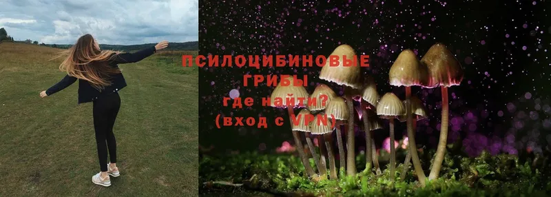 hydra ONION  Шарыпово  Галлюциногенные грибы Psilocybe  купить закладку 